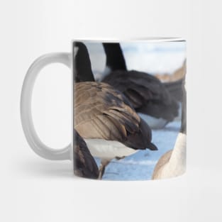 Canada Geese Standing In The Snow Mug